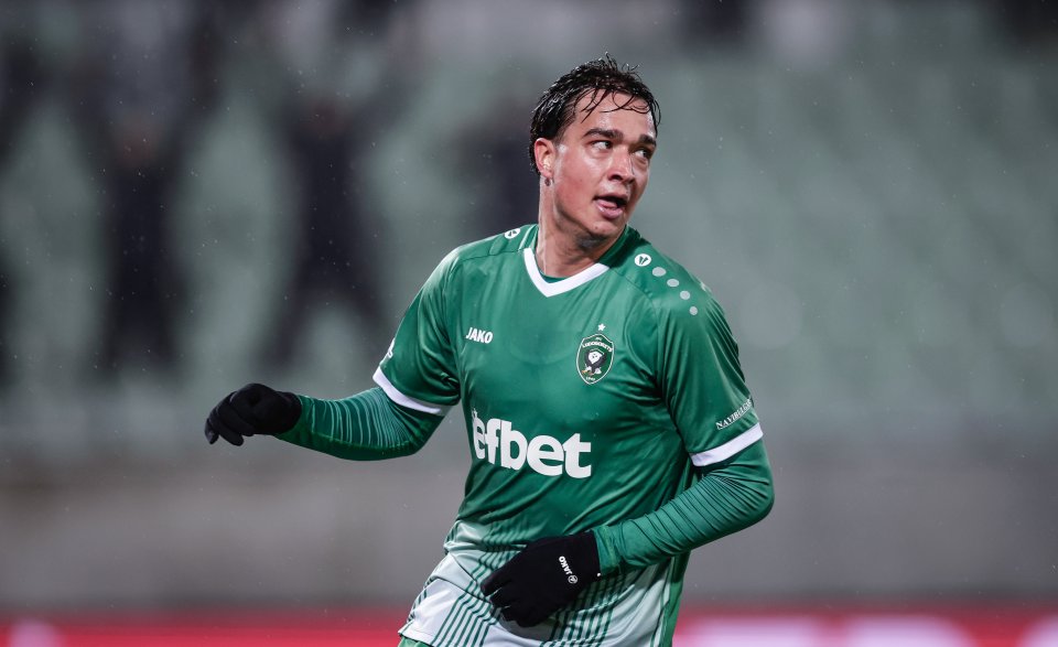 Лудогорец Ница1