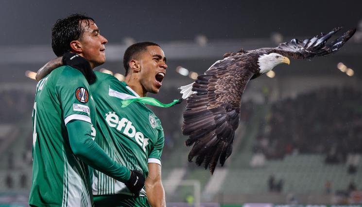 Лудогорец - Страхотен Лудогорец напред в евротурнирите