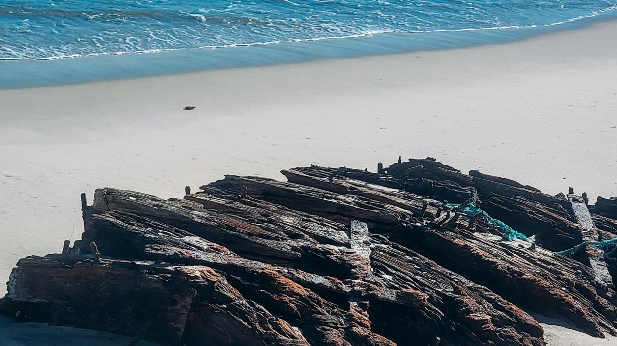 Силни зимни бури разкриха останките на кораб, потънал преди 140 години край Ню Джърси