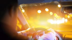 шофьор кола