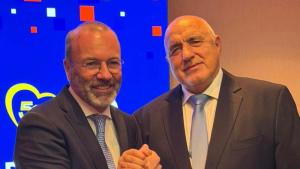 борисов вебер