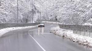 пътна обстановка сняг коли