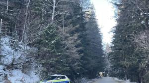 пътна обстановка сняг коли