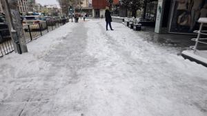 Сняг и лед в Плевен