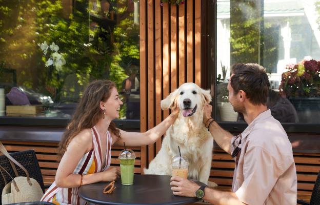 куче щастливо