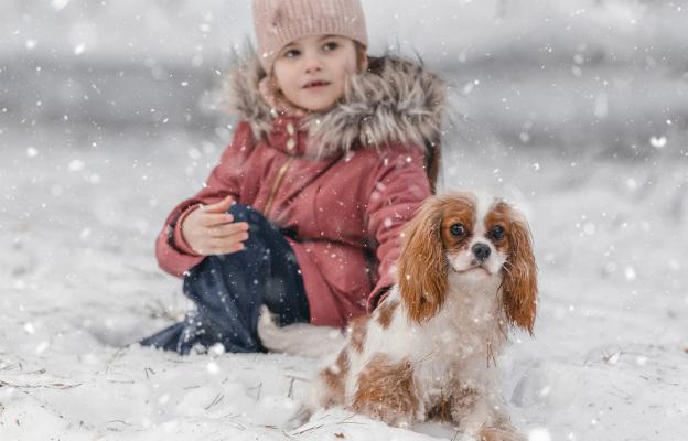 куче щастливо