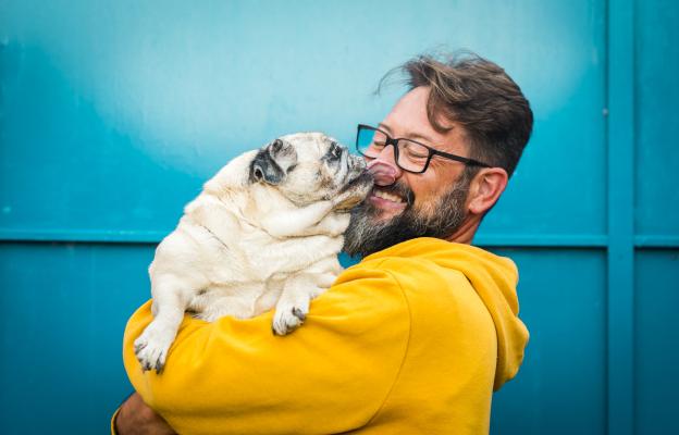 куче щастливо