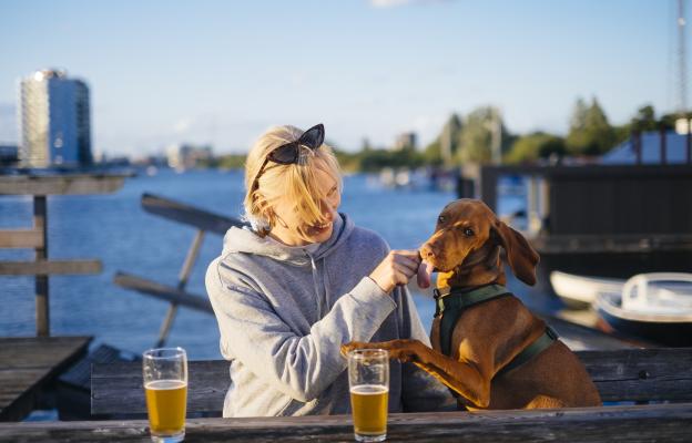 куче щастливо