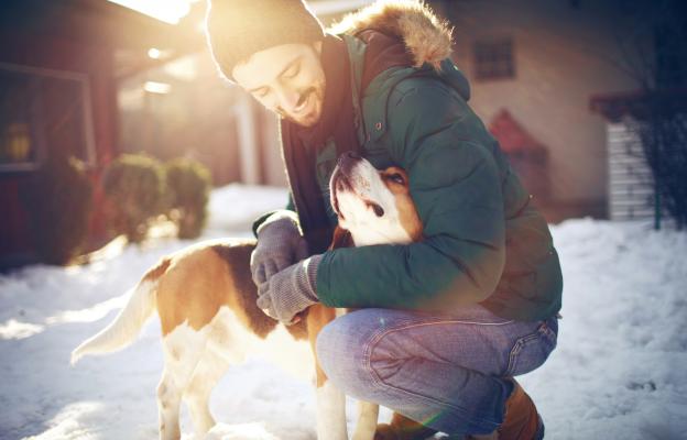 куче зима студ