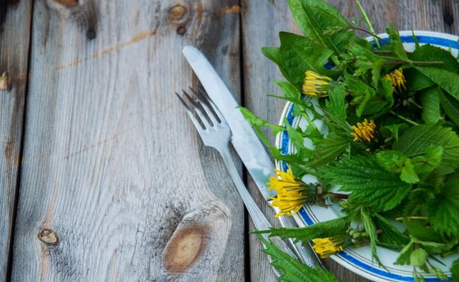 За по-добро здраве, енергия и дълголетие: 7 храни, които не бива да подценявате