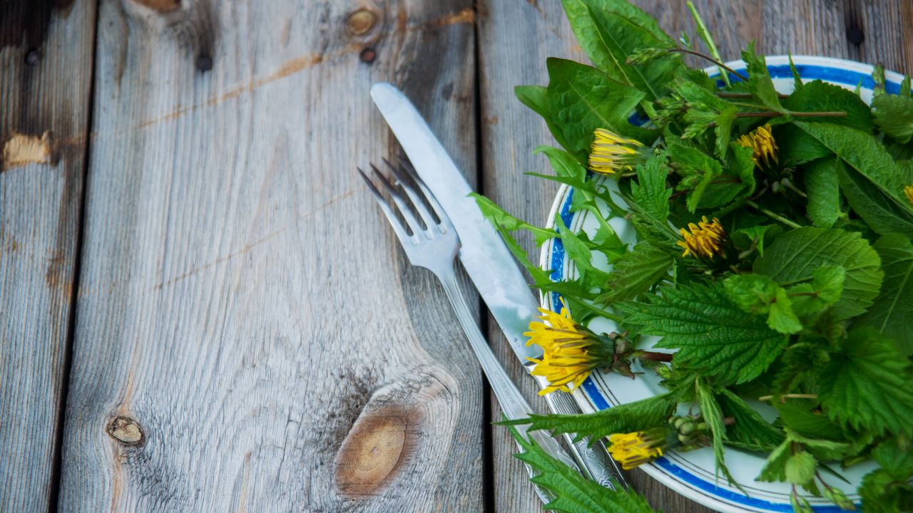 За по-добро здраве, енергия и дълголетие: 7 храни, които не бива да подценявате