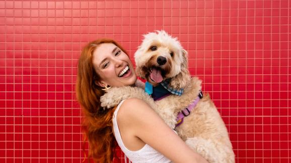 куче човек щастие