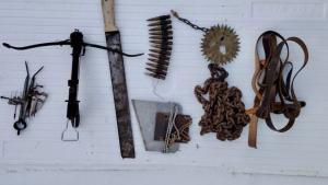 свищов животни изтезания Царевец