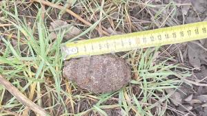 корозирала граната