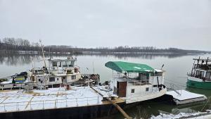 баржи дунав видин инцидент