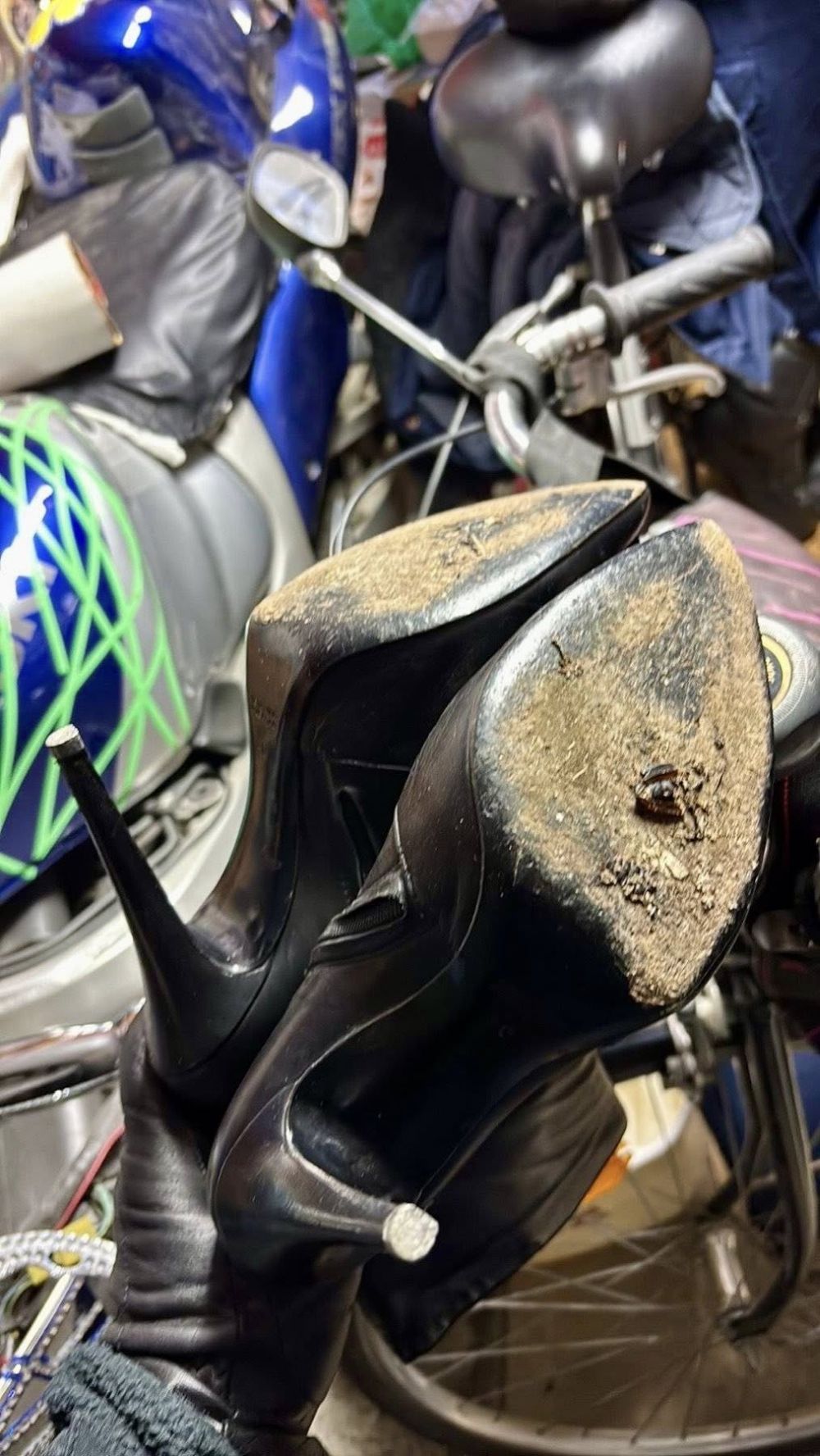 Мястото за мъчения на животни в Свищов