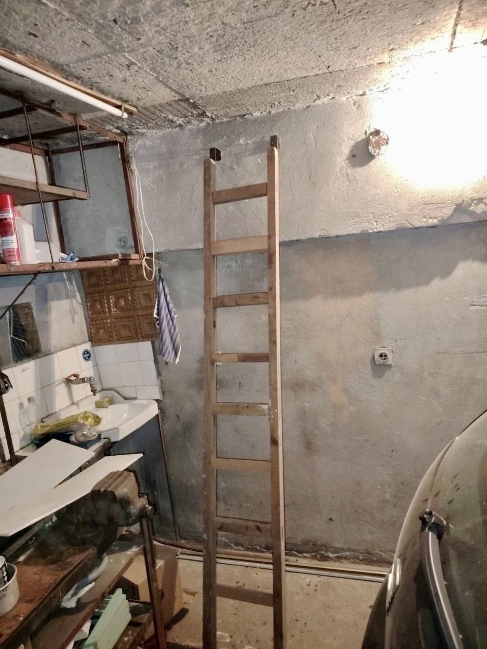 Мястото за мъчения на животни в Свищов