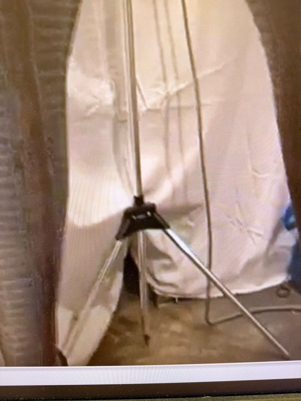 Мястото за мъчения на животни в Свищов