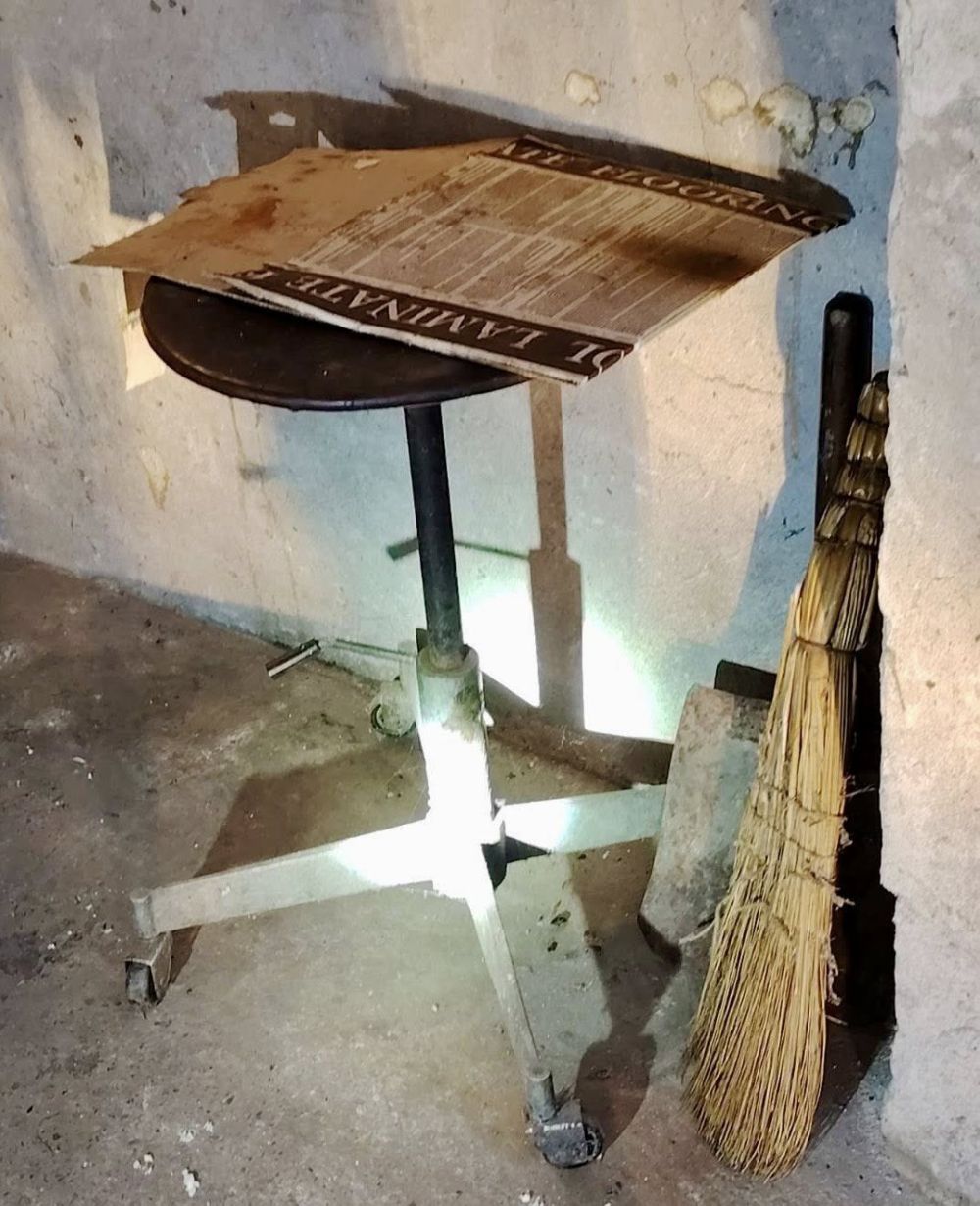 Мястото за мъчения на животни в Свищов