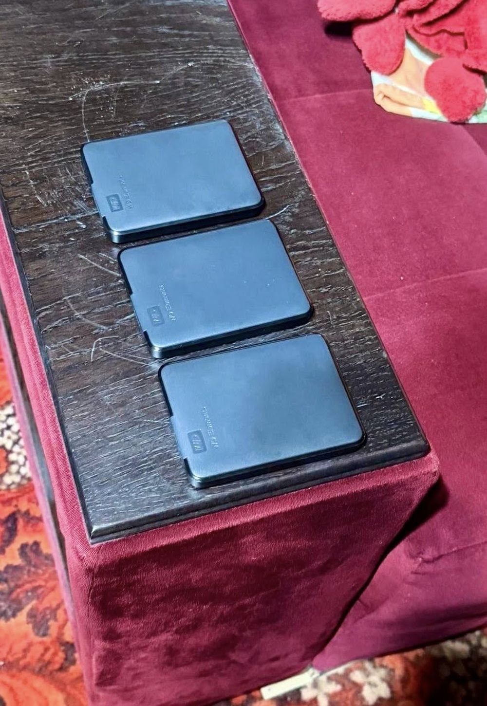 Мястото за мъчения на животни в Свищов