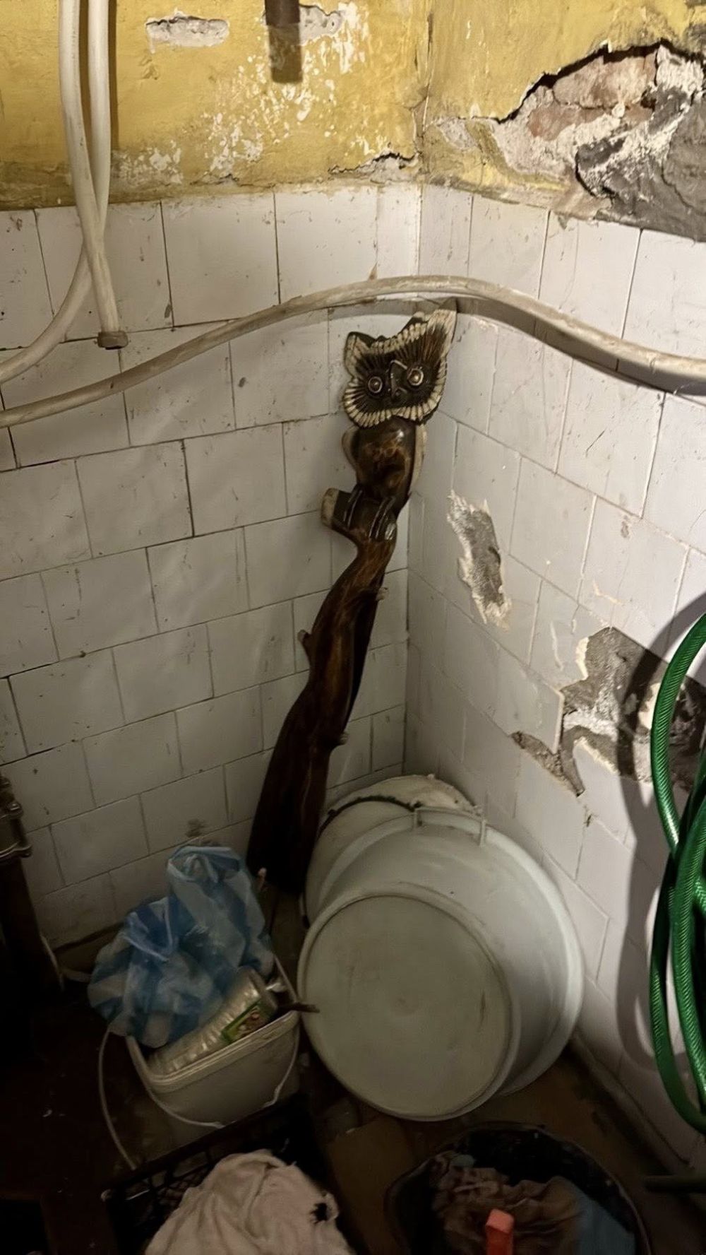 Мястото за мъчения на животни в Свищов