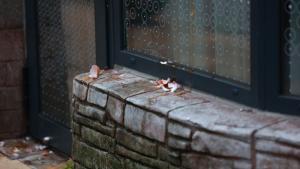 кабинет яйца