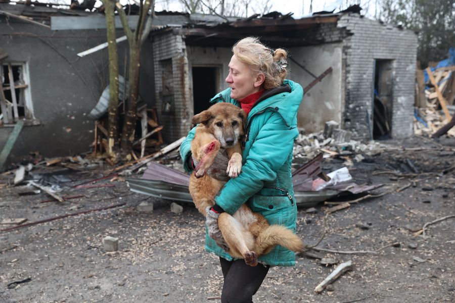 <p>При руска въздушна атака е ударен приют за кучета в украинския град Запорожие, предаде Асошиейтед прес.</p>