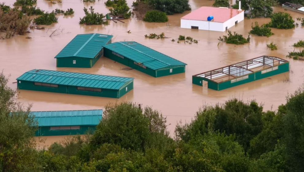 Едва възстановили се от силната буря Леонардо“, преминала в средата