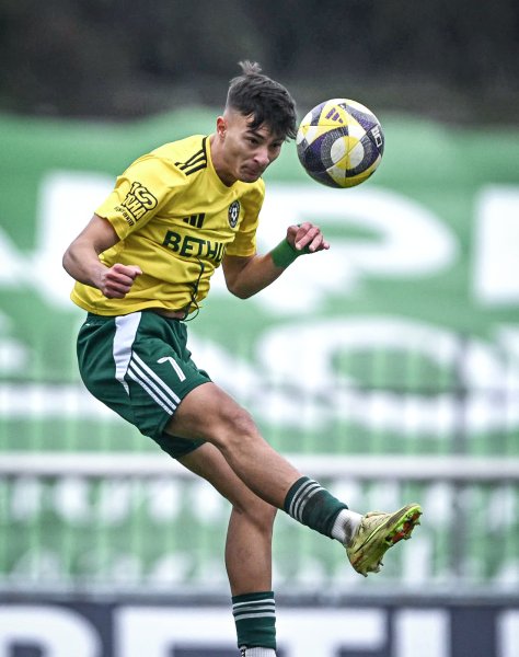 Добруджа Септември София1