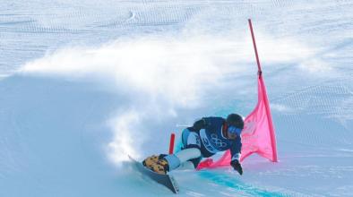 Тервел Замфиров