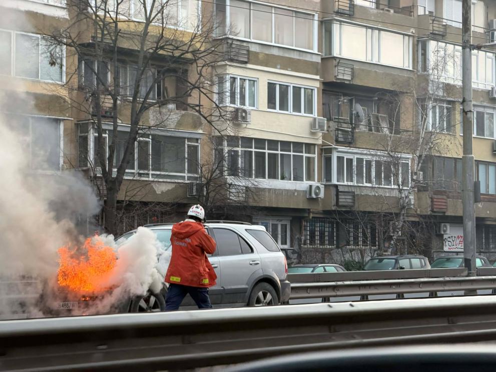 кола гори