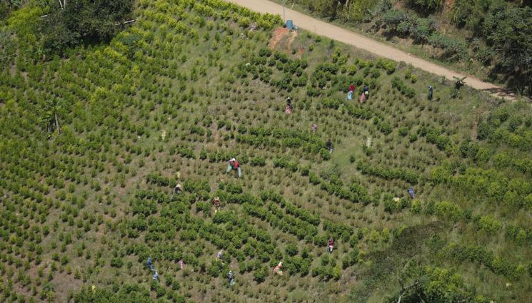 франциаа - Френска фрегата удари наркоканал в океана! 1,4 тона кокаин паднаха в морето