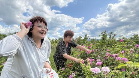 Розова долина