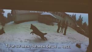 Полиция разследващи и прокуратура дават извънреден брифинг за хода на разследването