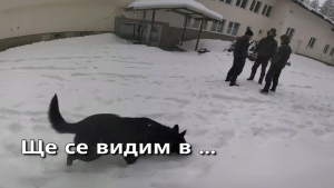 хижа Петрохан