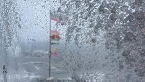 Тридесет и четвъртата българска антарктическа експедиция е ударена от най