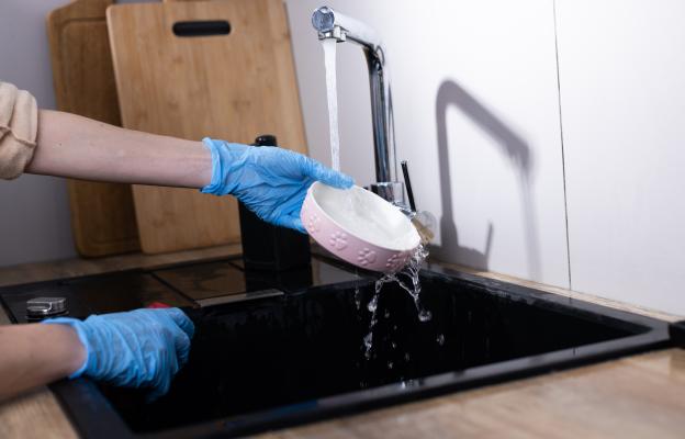 куче паничка