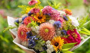 <p>Как да не объркаме цветята за Св. Валентин и 8-и март</p>