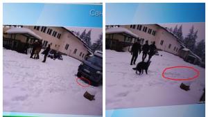 кемпер Петрохан