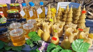 Общо 17 винарни от Долината на Струма отварят врати за