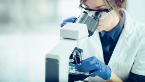 микроскоп жена