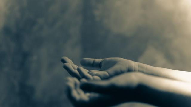 От Джоунстаун до Solar Temple: Ето едни от най-смъртоносните секти в историята