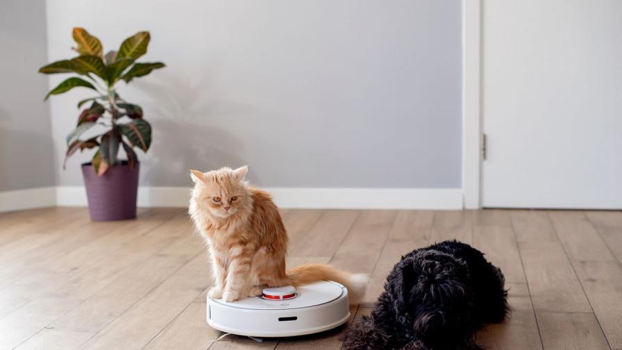 Умните домове са модерни, но трябва да внимаваме с тях