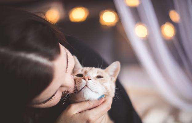 Котка на Свети Валентин