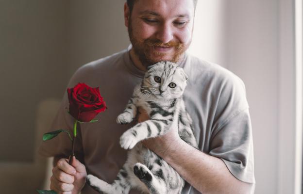 Котка на Свети Валентин