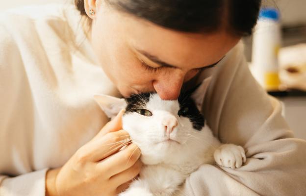 Котка на Свети Валентин