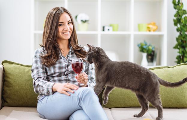 Котка и стопанка която пие вино