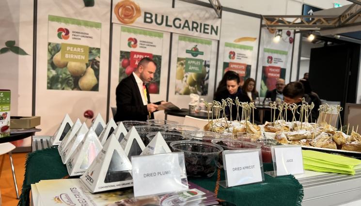 ябълка - Добруджанската ябълка №1 в Европа