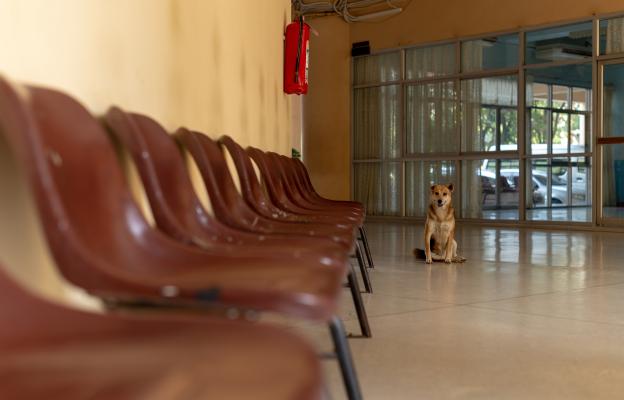 куче болница