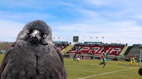 Ботев Враца